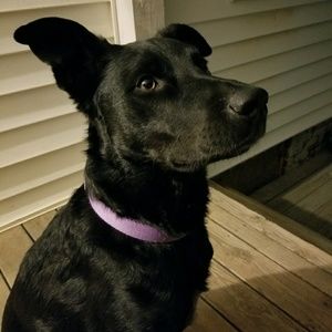 Meet your Posher, Justine